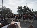 GCO at Mardi Gras 2009 (53).JPG